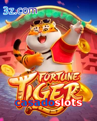 casadoslots slots online fortune tiger